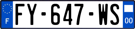 FY-647-WS
