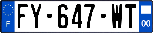 FY-647-WT