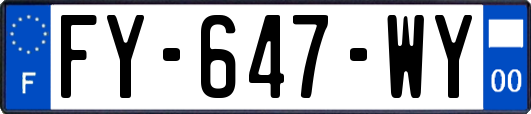 FY-647-WY