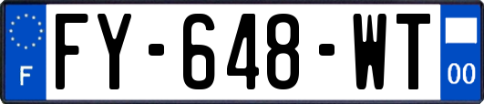 FY-648-WT