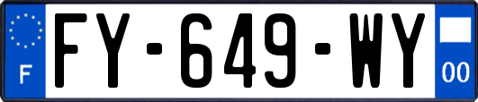 FY-649-WY