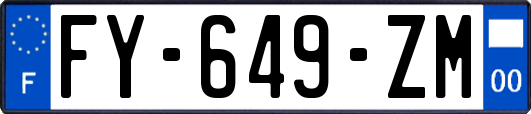 FY-649-ZM