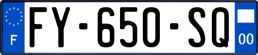 FY-650-SQ