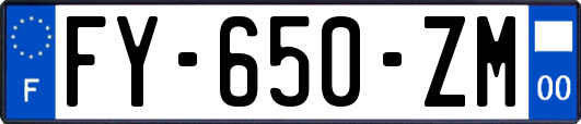 FY-650-ZM