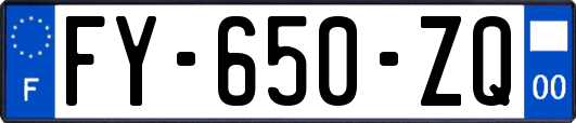 FY-650-ZQ