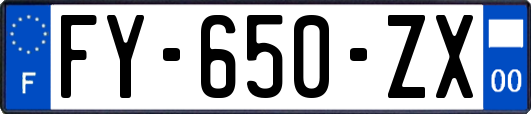 FY-650-ZX