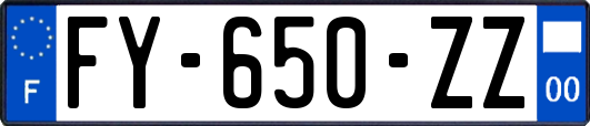 FY-650-ZZ