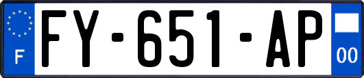 FY-651-AP