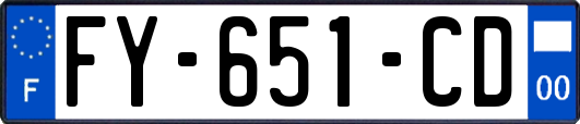 FY-651-CD