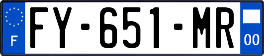 FY-651-MR