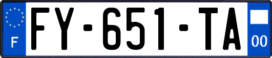FY-651-TA