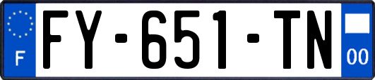 FY-651-TN