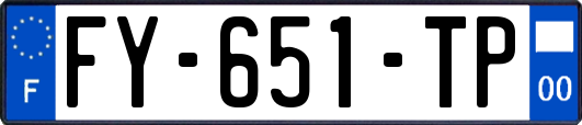 FY-651-TP