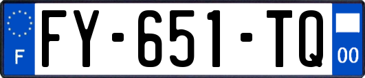 FY-651-TQ