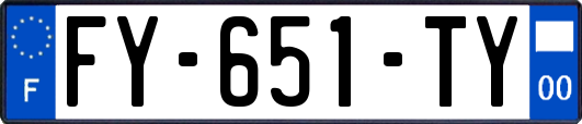 FY-651-TY