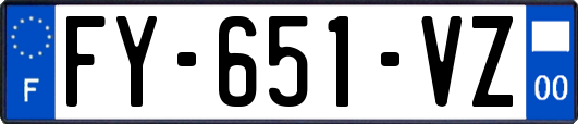 FY-651-VZ