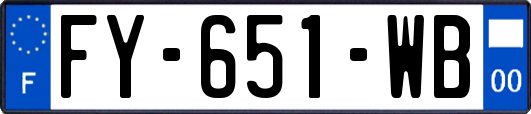 FY-651-WB