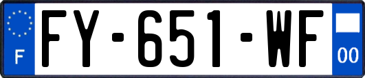 FY-651-WF