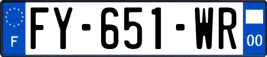 FY-651-WR