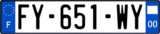 FY-651-WY