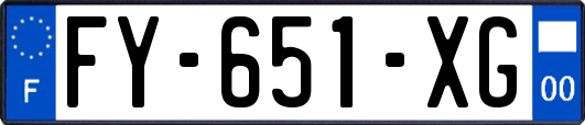 FY-651-XG