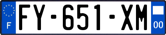 FY-651-XM