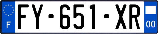 FY-651-XR