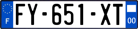 FY-651-XT
