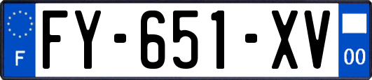 FY-651-XV