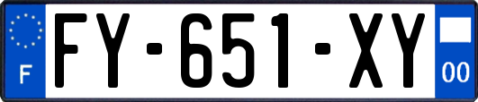 FY-651-XY