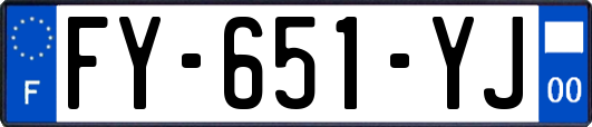 FY-651-YJ