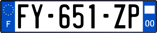 FY-651-ZP