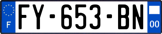 FY-653-BN