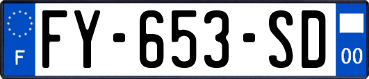FY-653-SD