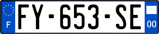 FY-653-SE