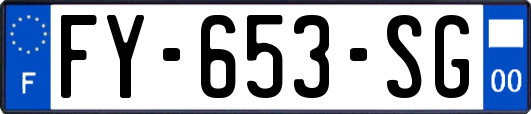 FY-653-SG
