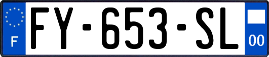 FY-653-SL