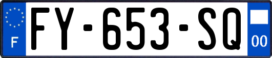 FY-653-SQ