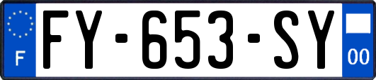 FY-653-SY
