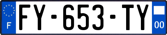 FY-653-TY