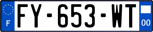 FY-653-WT