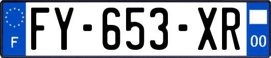 FY-653-XR