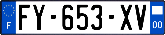 FY-653-XV