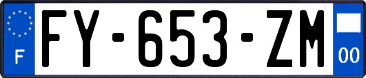 FY-653-ZM