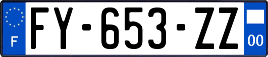 FY-653-ZZ