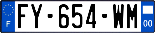 FY-654-WM