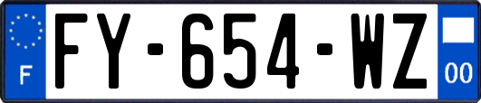 FY-654-WZ