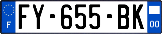 FY-655-BK