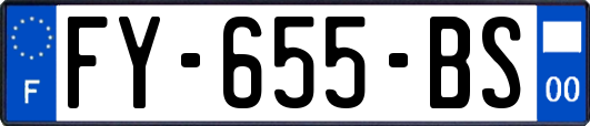 FY-655-BS