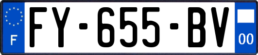 FY-655-BV